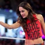 Who Is Brie Bella? Everything You Need to Know